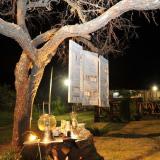 Propuestas, detalles y colores